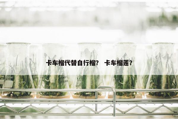 卡车榴代替自行榴？ 卡车榴莲？