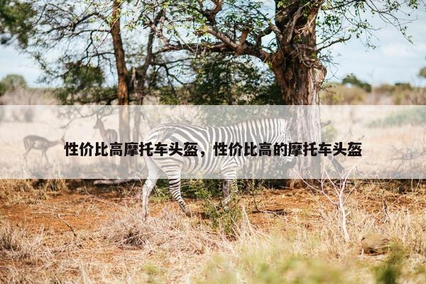 性价比高摩托车头盔，性价比高的摩托车头盔