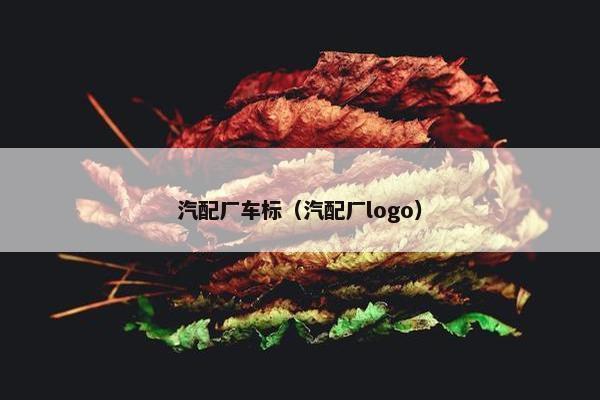 汽配厂车标（汽配厂logo）