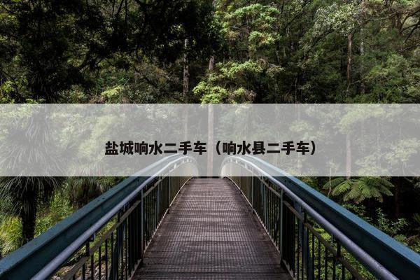 盐城响水二手车（响水县二手车）