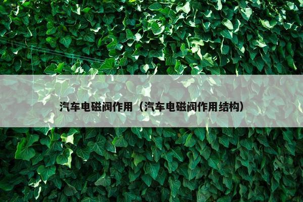 汽车电磁阀作用（汽车电磁阀作用结构）
