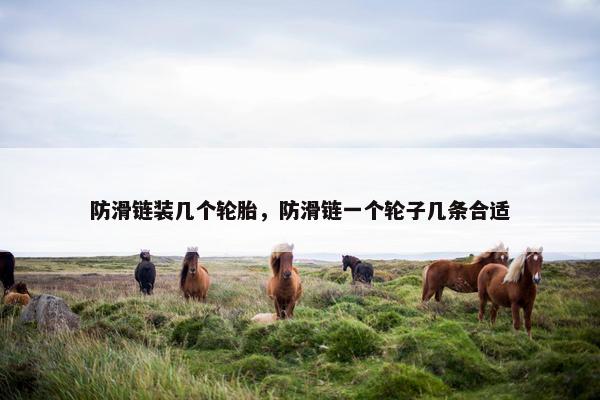 防滑链装几个轮胎，防滑链一个轮子几条合适