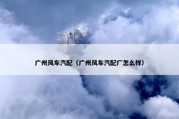 广州风车汽配（广州风车汽配厂怎么样）