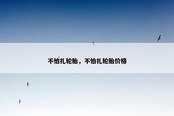 不怕扎轮胎，不怕扎轮胎价格
