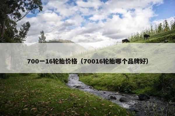 700一16轮胎价格（70016轮胎哪个品牌好）