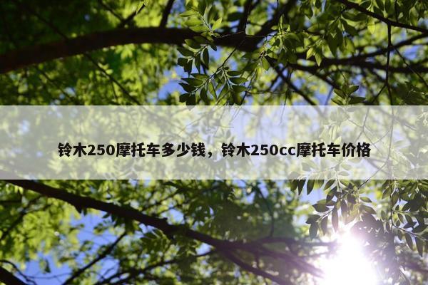 铃木250摩托车多少钱，铃木250cc摩托车价格