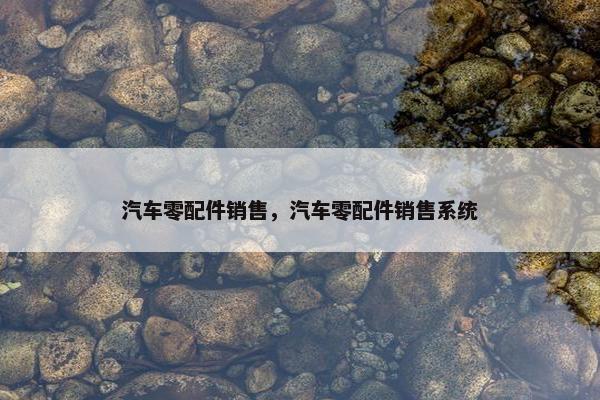 汽车零配件销售，汽车零配件销售系统