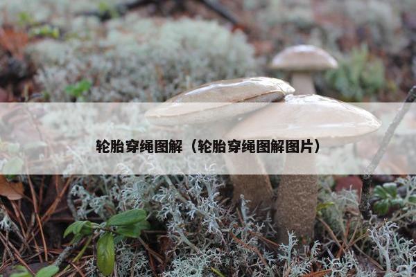 轮胎穿绳图解（轮胎穿绳图解图片）