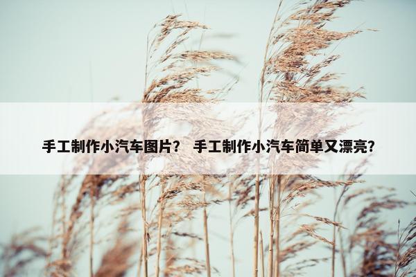手工制作小汽车图片？ 手工制作小汽车简单又漂亮？