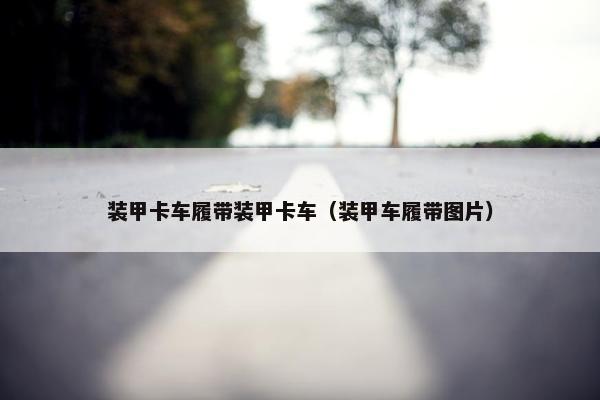 装甲卡车履带装甲卡车（装甲车履带图片）