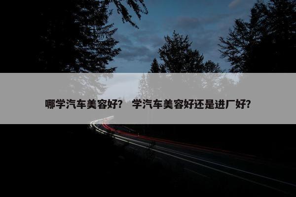 哪学汽车美容好？ 学汽车美容好还是进厂好？