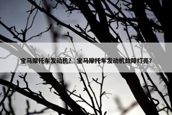 宝马摩托车发动机？ 宝马摩托车发动机故障灯亮？