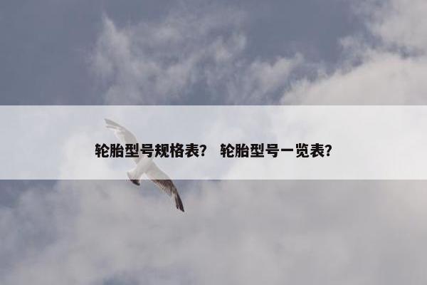 轮胎型号规格表？ 轮胎型号一览表？