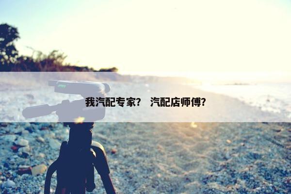 我汽配专家？ 汽配店师傅？