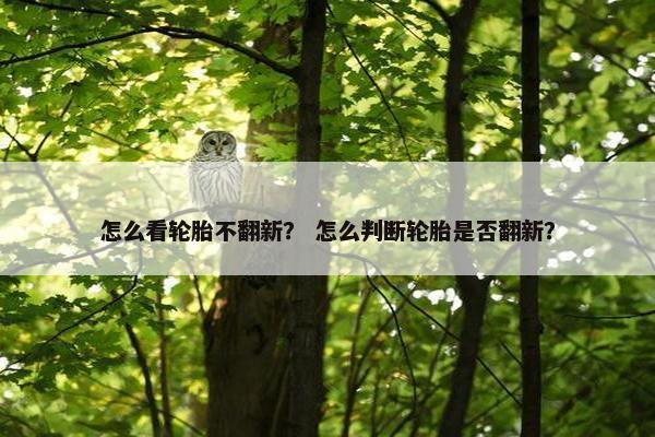 怎么看轮胎不翻新？ 怎么判断轮胎是否翻新？