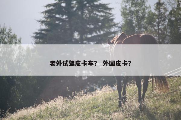 老外试驾皮卡车？ 外国皮卡？