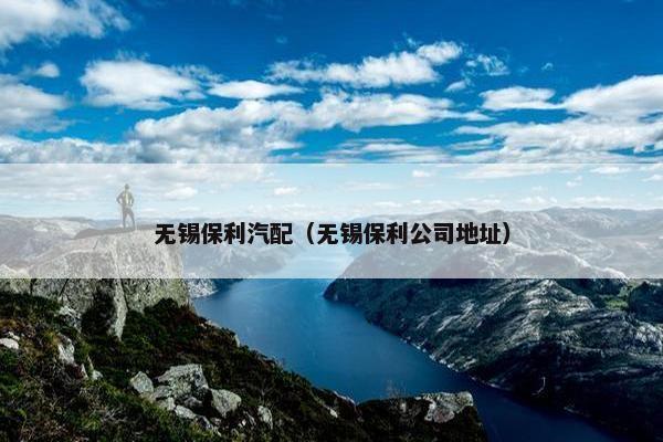 无锡保利汽配（无锡保利公司地址）