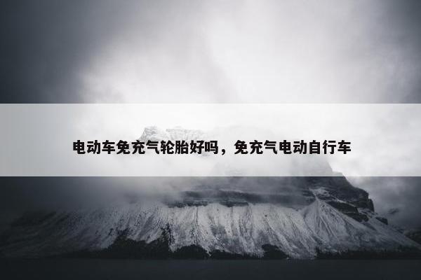 电动车免充气轮胎好吗，免充气电动自行车