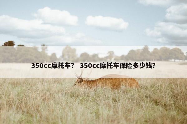 350cc摩托车？ 350cc摩托车保险多少钱？