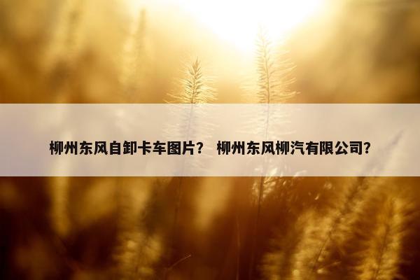 柳州东风自卸卡车图片？ 柳州东风柳汽有限公司？