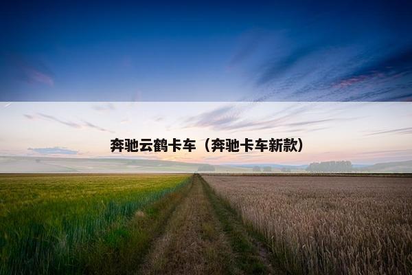 奔驰云鹤卡车（奔驰卡车新款）