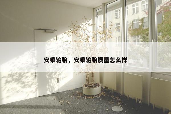 安乘轮胎，安乘轮胎质量怎么样