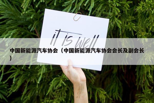 中国新能源汽车协会（中国新能源汽车协会会长及副会长）