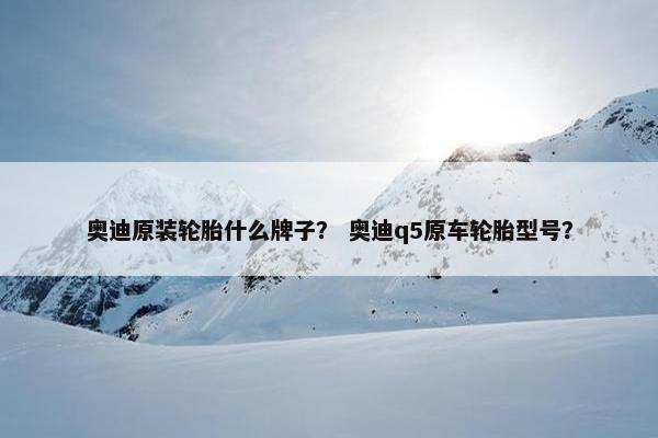 奥迪原装轮胎什么牌子？ 奥迪q5原车轮胎型号？