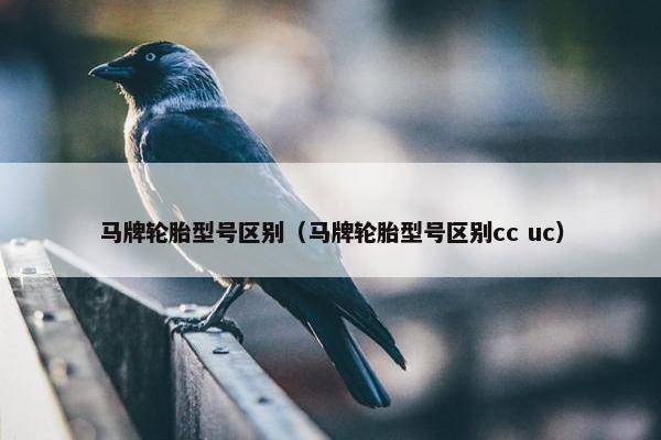 马牌轮胎型号区别（马牌轮胎型号区别cc uc）