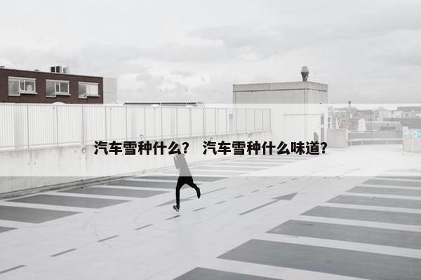 汽车雪种什么？ 汽车雪种什么味道？