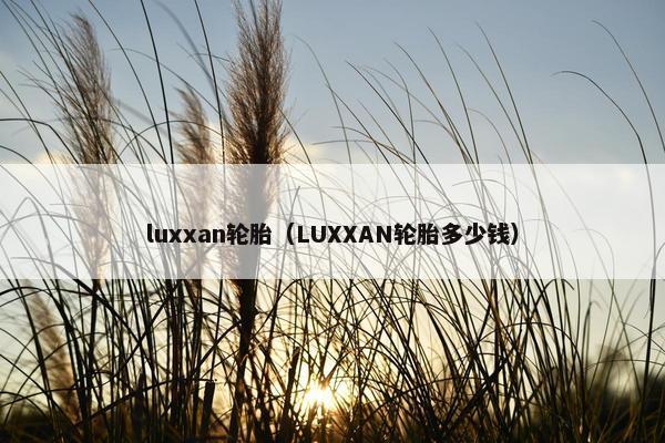 luxxan轮胎（LUXXAN轮胎多少钱）
