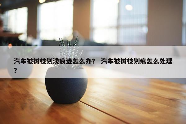 汽车被树枝划浅痕迹怎么办？ 汽车被树枝划痕怎么处理？