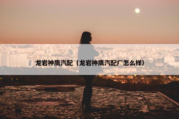 龙岩神鹰汽配（龙岩神鹰汽配厂怎么样）