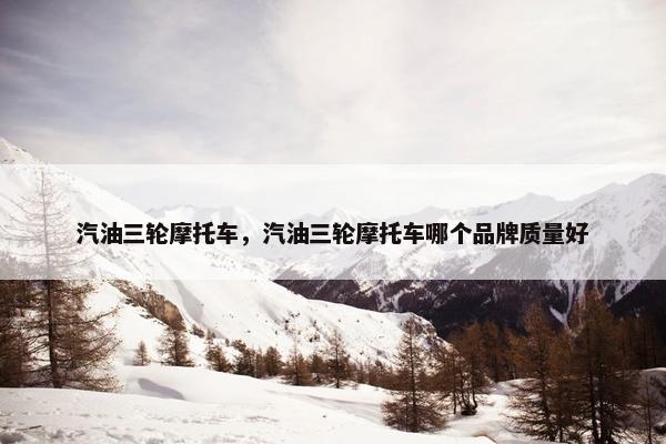 汽油三轮摩托车，汽油三轮摩托车哪个品牌质量好