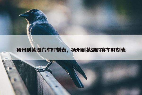 扬州到芜湖汽车时刻表，扬州到芜湖的客车时刻表