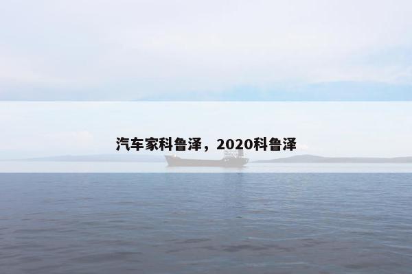 汽车家科鲁泽，2020科鲁泽