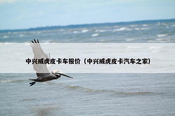 中兴威虎皮卡车报价（中兴威虎皮卡汽车之家）