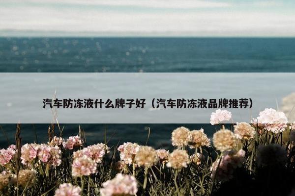 汽车防冻液什么牌子好（汽车防冻液品牌推荐）