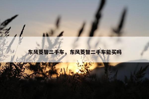 东风菱智二手车，东风菱智二手车能买吗