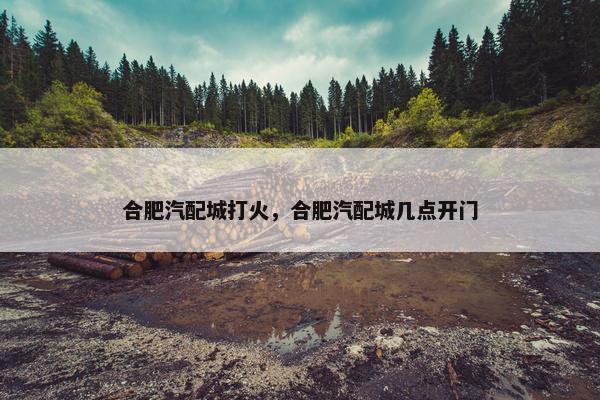 合肥汽配城打火，合肥汽配城几点开门