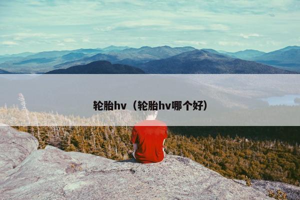 轮胎hv（轮胎hv哪个好）