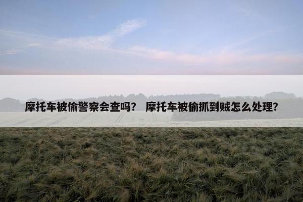 摩托车被偷警察会查吗？ 摩托车被偷抓到贼怎么处理？