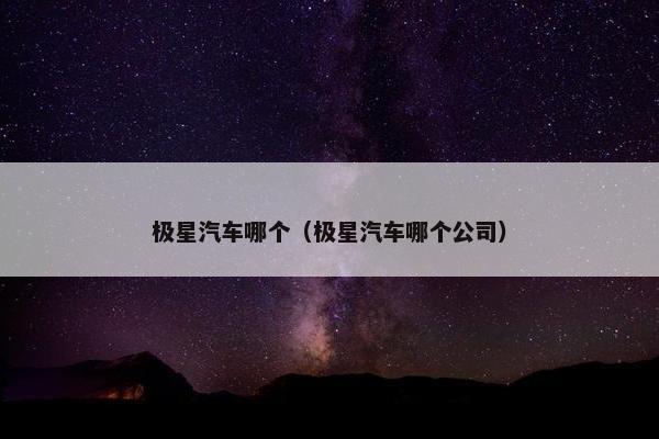 极星汽车哪个（极星汽车哪个公司）