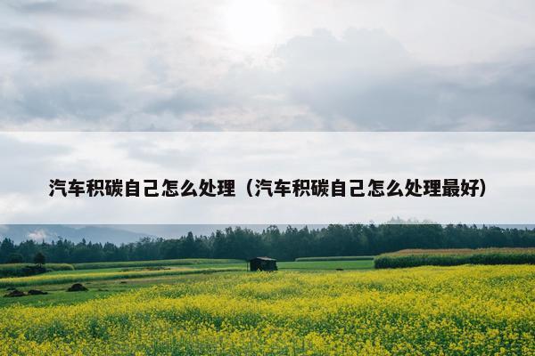 汽车积碳自己怎么处理（汽车积碳自己怎么处理最好）