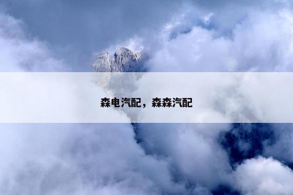 森电汽配，森森汽配