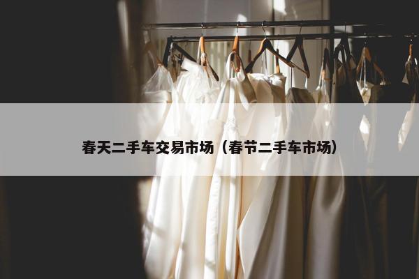 春天二手车交易市场（春节二手车市场）