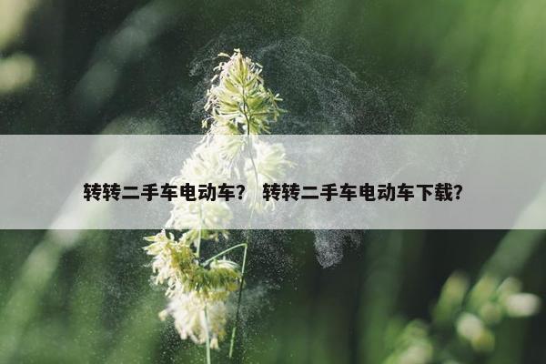 转转二手车电动车？ 转转二手车电动车下载？