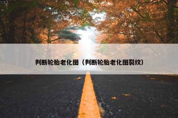 判断轮胎老化图（判断轮胎老化图裂纹）
