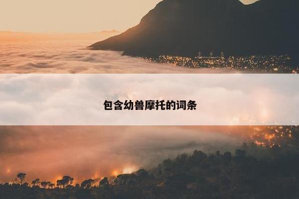 包含幼兽摩托的词条