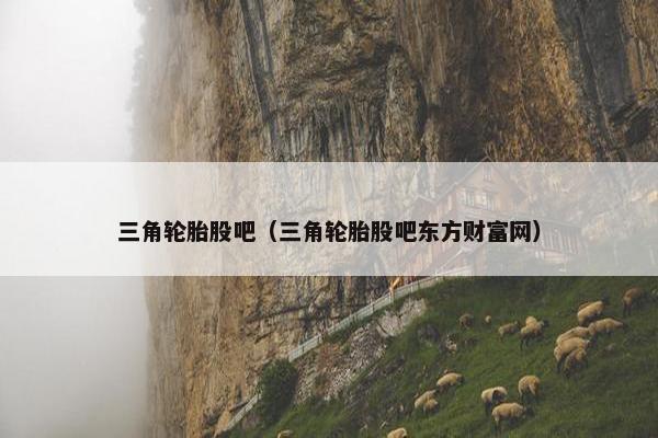 三角轮胎股吧（三角轮胎股吧东方财富网）